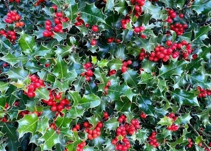 Casa Rio Duero Soria